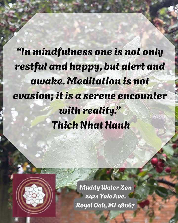 Muddy Water Zen